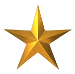 Public Sector
Private Sector
Non-Profit and Pro-Bono